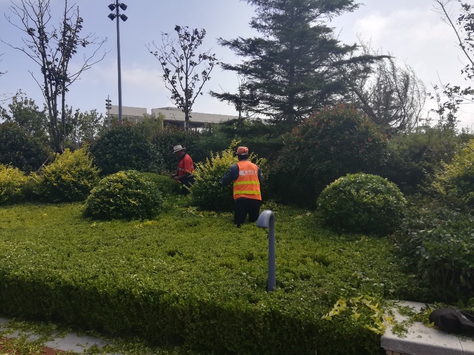 蓝色硅谷项目荣获省级细腻化养护树模基地 蓝色硅谷项目荣获省级细腻化养护树模基地